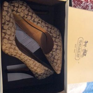 Nib Coach Shoes